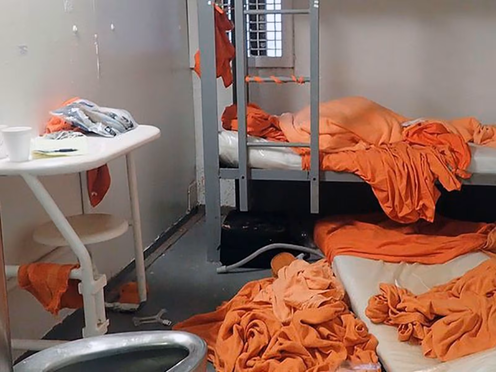 Suicide d&rsquo;Epstein : un communiqué anticipé suscite le doute