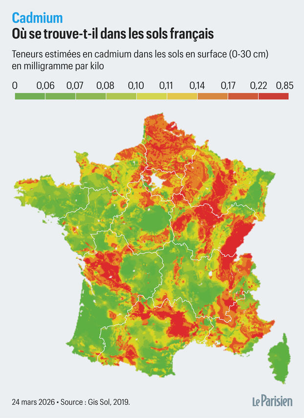 Les terres agricoles françaises sont empoisonnées par le cadmium des phosphates marocains
